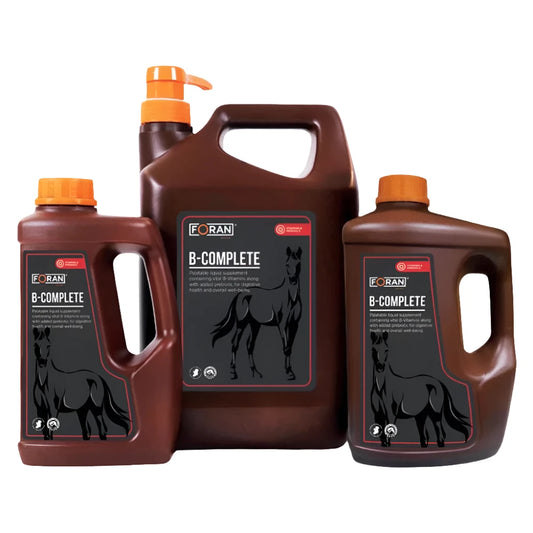 B-COMPLETE-5 L-FORAN