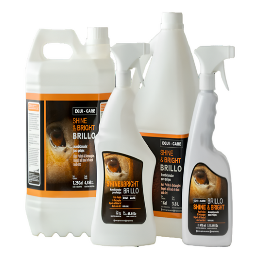 SHINE & BRIGHT-DETANGLER-1 L-EC-ARGENTINA