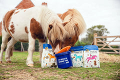 STRUCIES-1.5 KG-CAVALOR