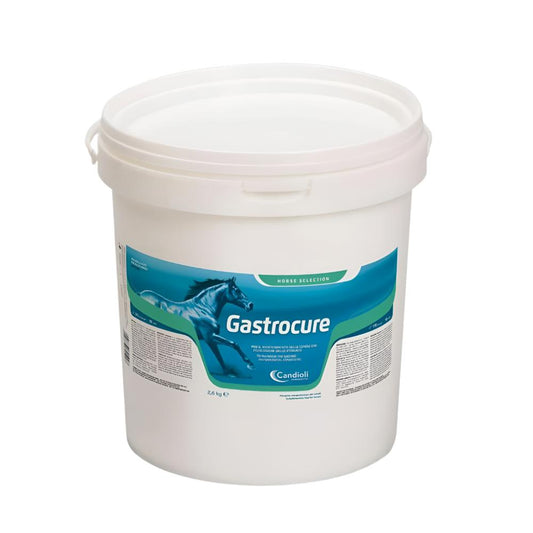 GASTRO CURE-2.6KG-CANDIOLI-ITALY