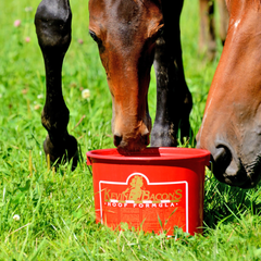 HOOF FORMULA-5 KG-KB