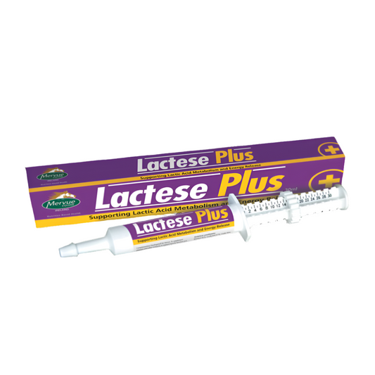 LACTESE PLUS-30ML-MERVUE-IR