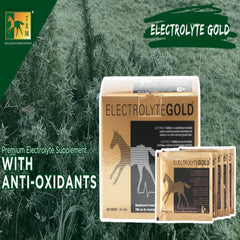 ELECTROLYTE GOLD-30 x 50G-TRM