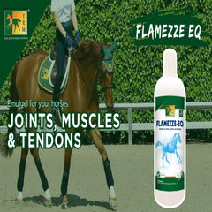 FLAMEZZE-EQ-500 G-TRM