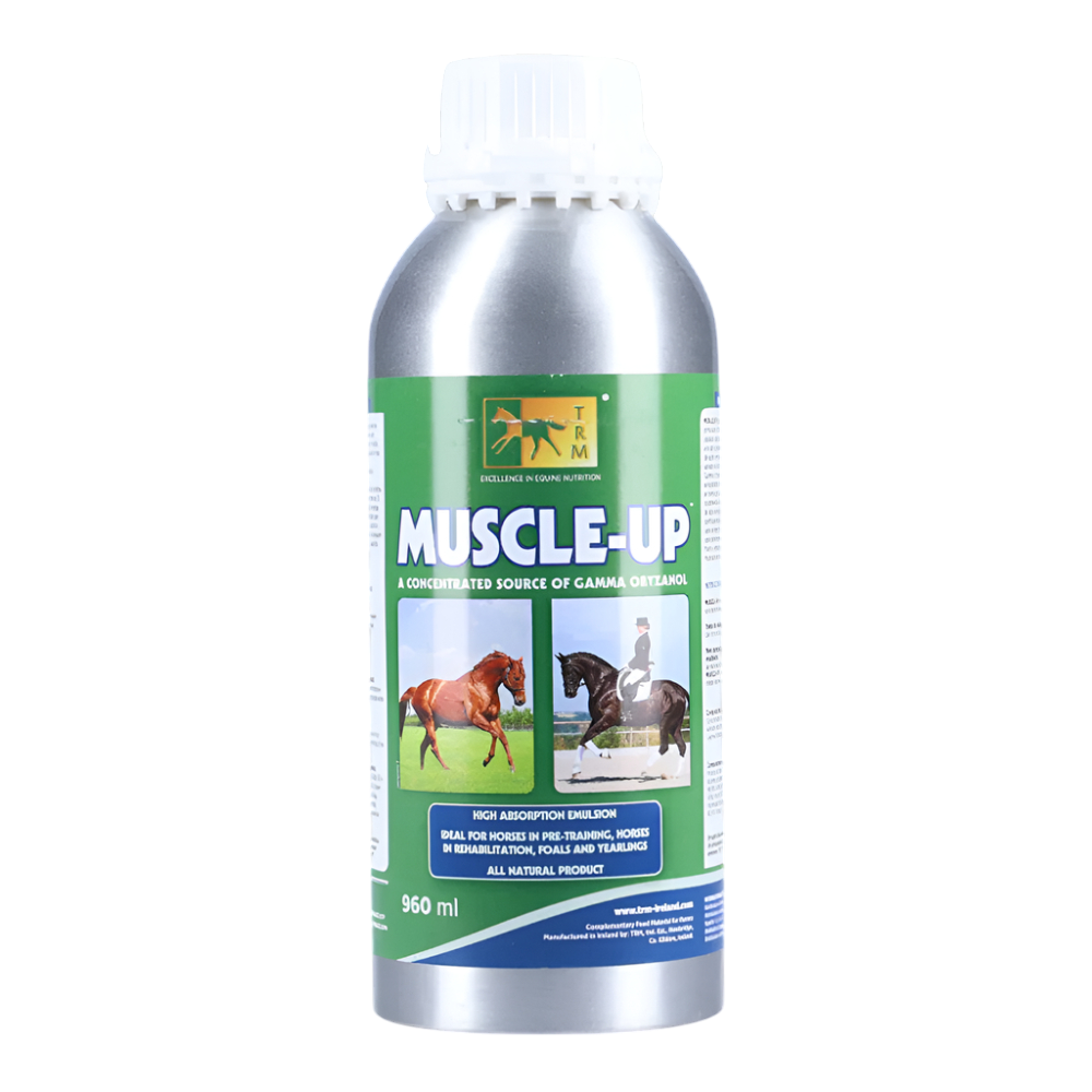 trm_muscle_up_ 1