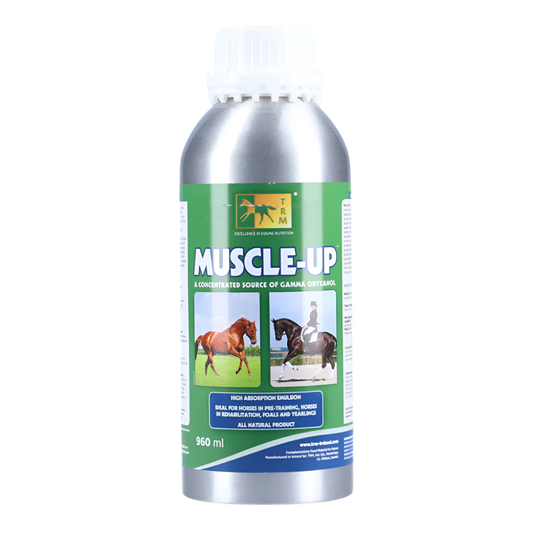 MUSCLE UP-960 ML-TRM