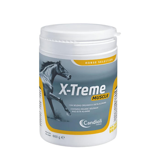 X-TREME MUSCLE-600 G-CANDIOLI-ITALY